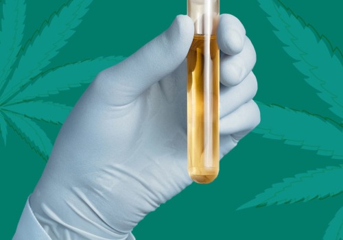 Can Hemp or CBD Show Up in Urine Tests?